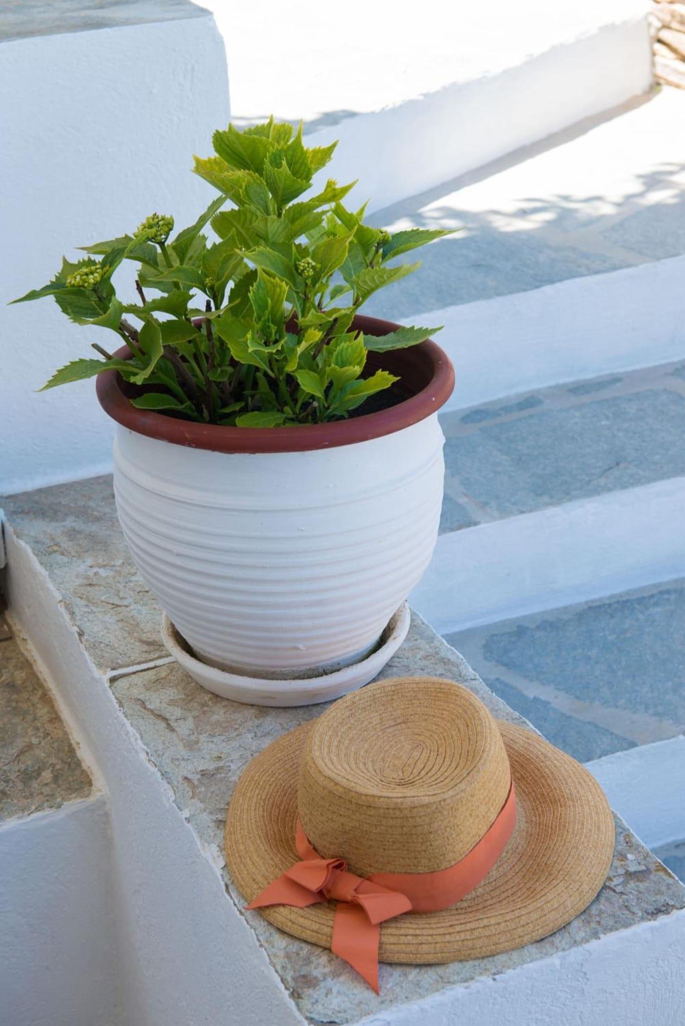 Restaurant Peristeronas House