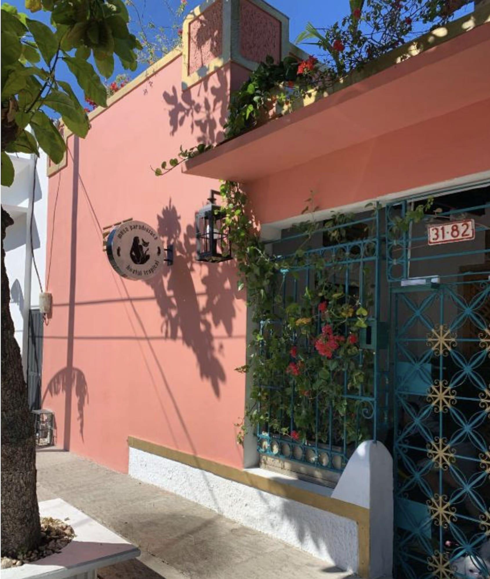 Vista Exterior Hostel Boutique Musa Paradisiaca