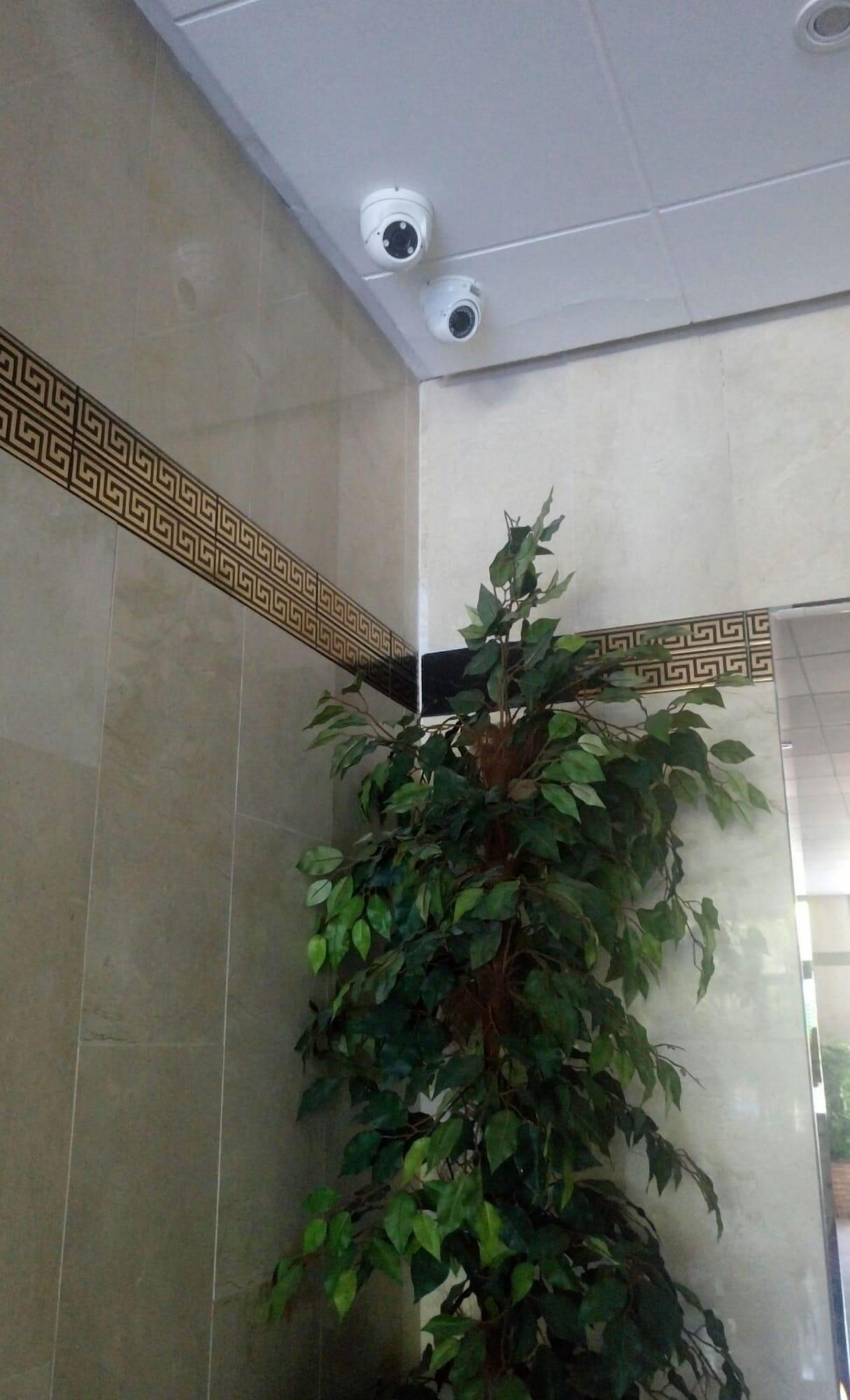 Vista Lobby Estudio Ally