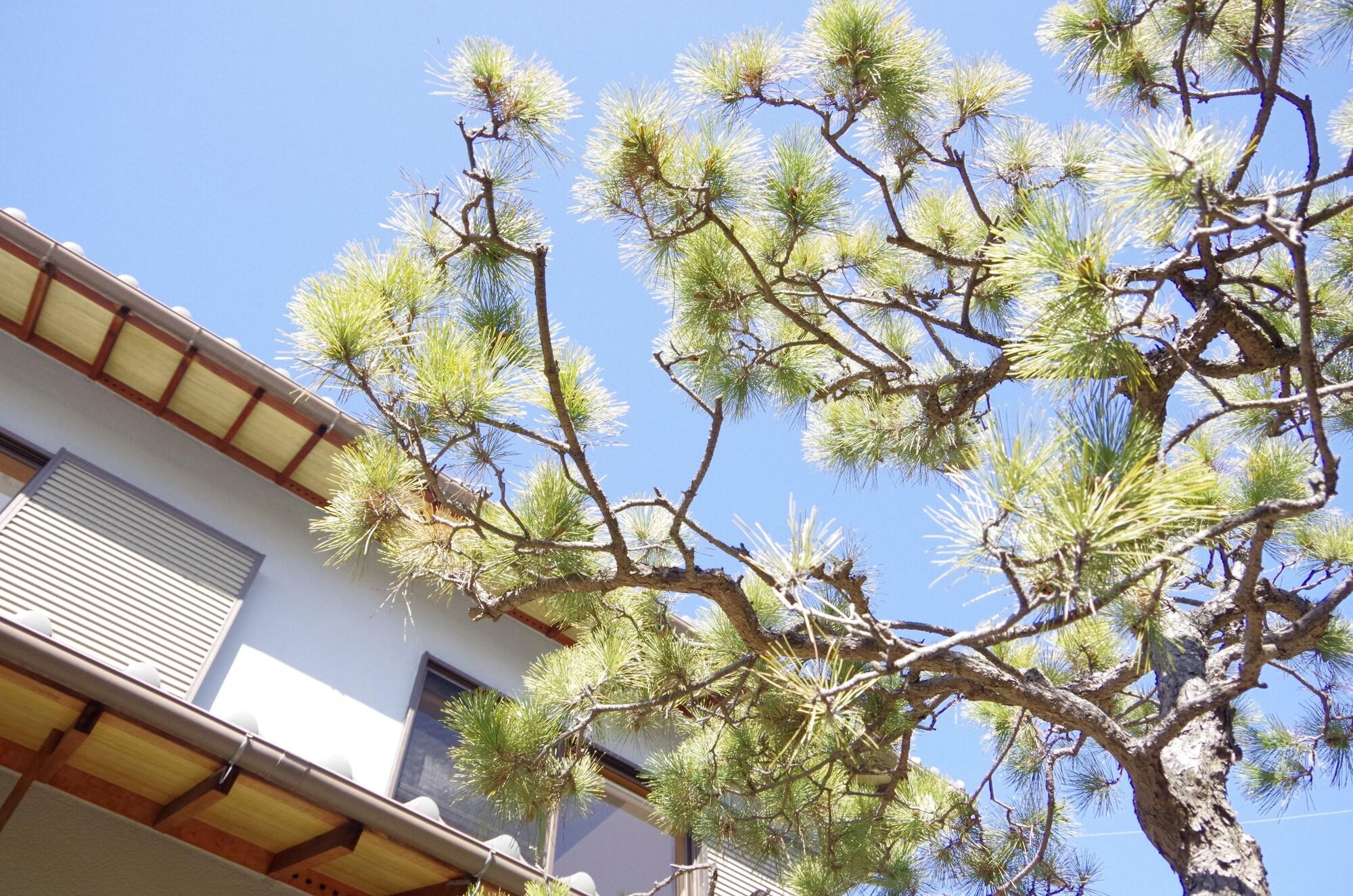 Vista Exterior BOND - Hostel