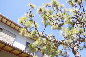 Alojamiento - BOND - Hostel