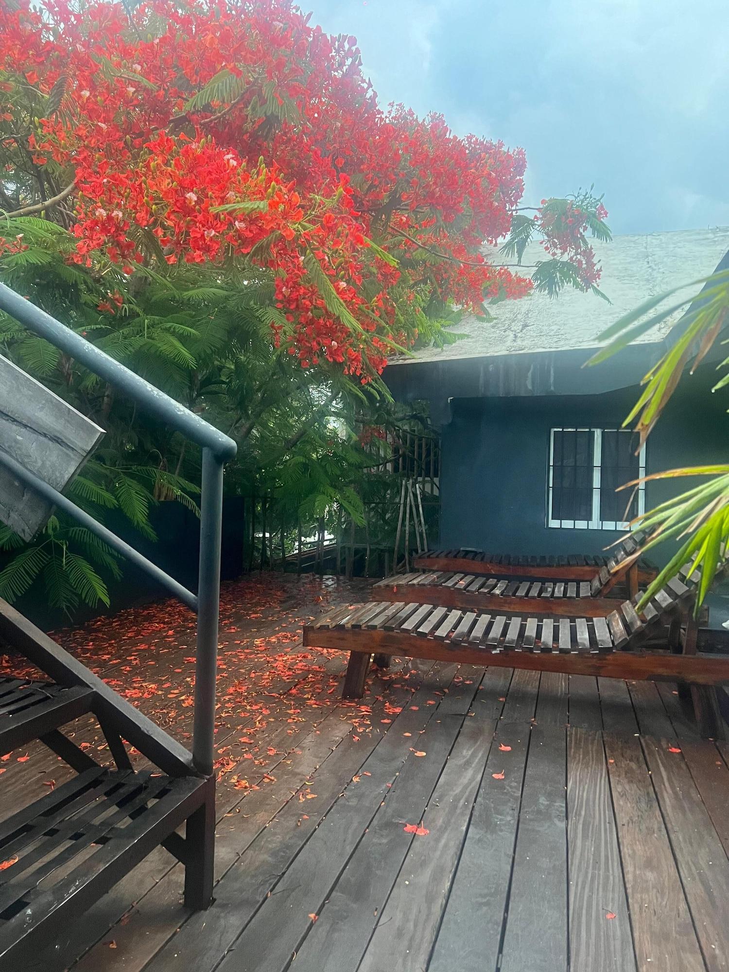 Vista Exterior Varuna