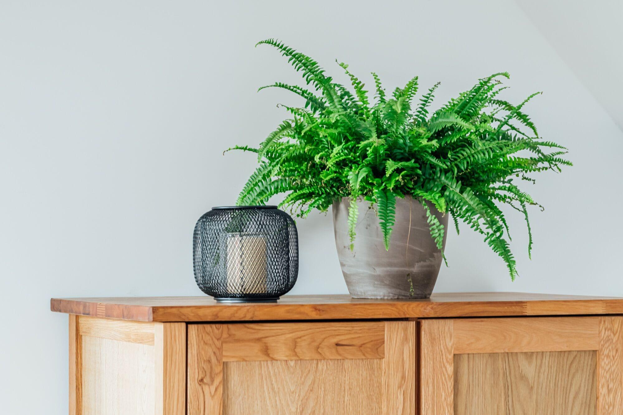 Vista Lobby Aparthotel Pumpengasse