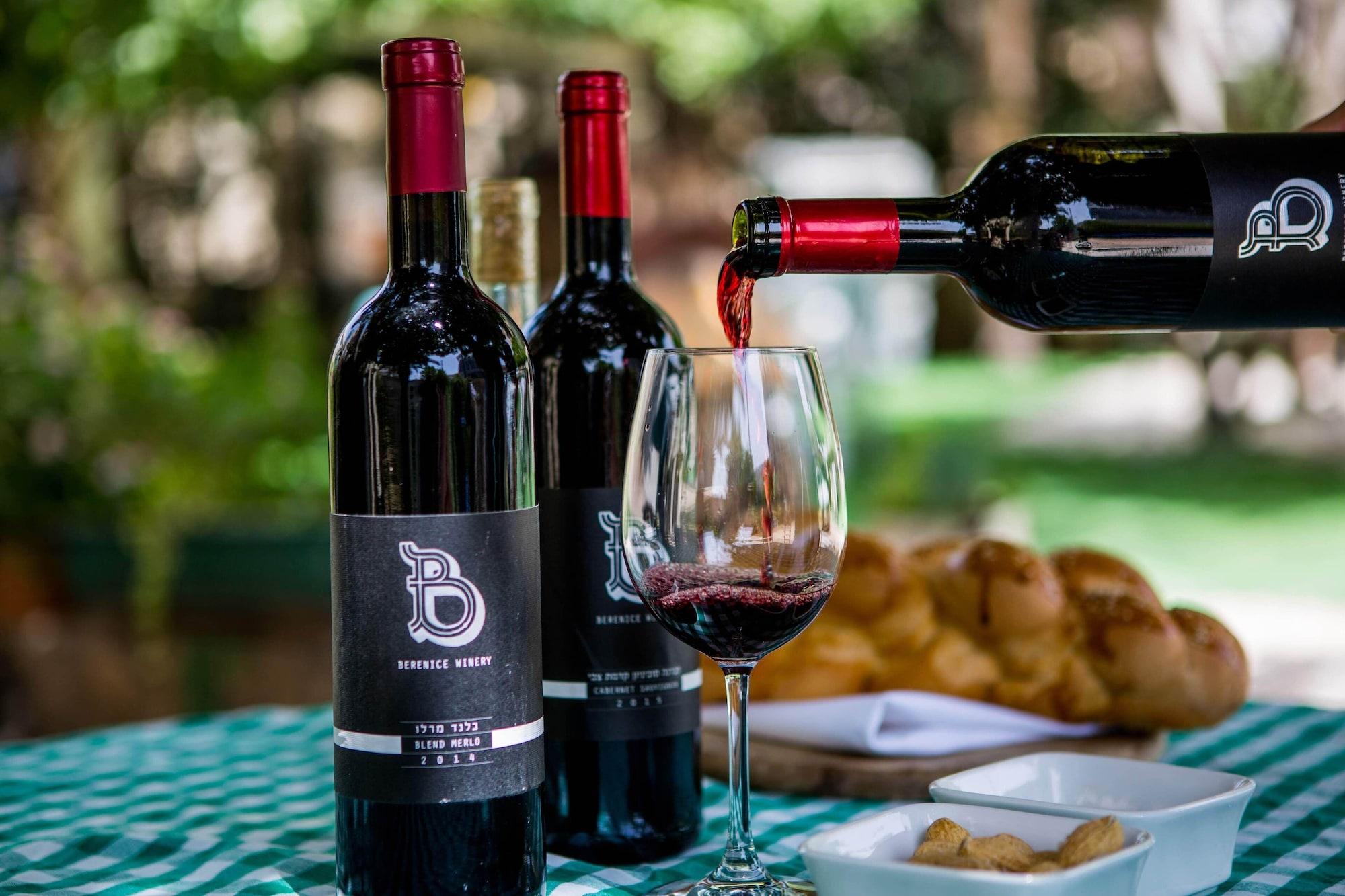 Comodidades del Alojamiento Berenice Winery Villa