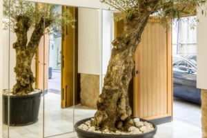 Alquiler Vacacional - Catalina Suites Apartments Downtown 4*