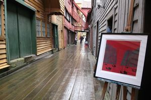 Actividad - Recorrido a pie privado por lo más destacado de Bergen