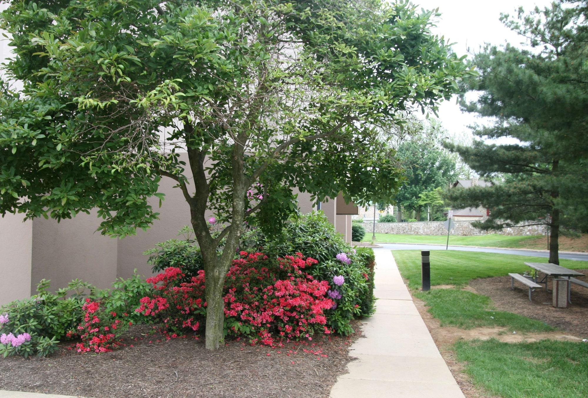 Vista Exterior Hampton Inn Downingtown/Exton