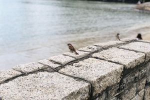 Alojamiento - Silvermine Beach Resort