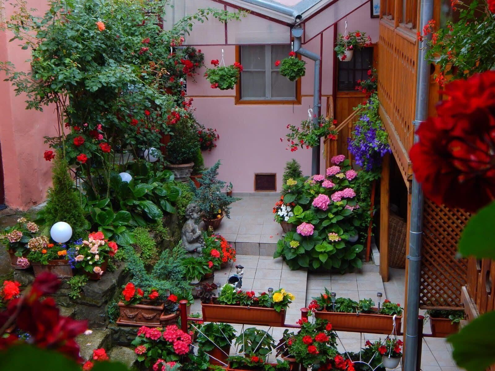 Vista Exterior La Teo Pensiune si Pivnita