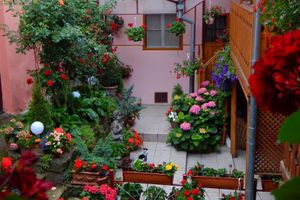 Alojamiento - La Teo Pensiune si Pivnita