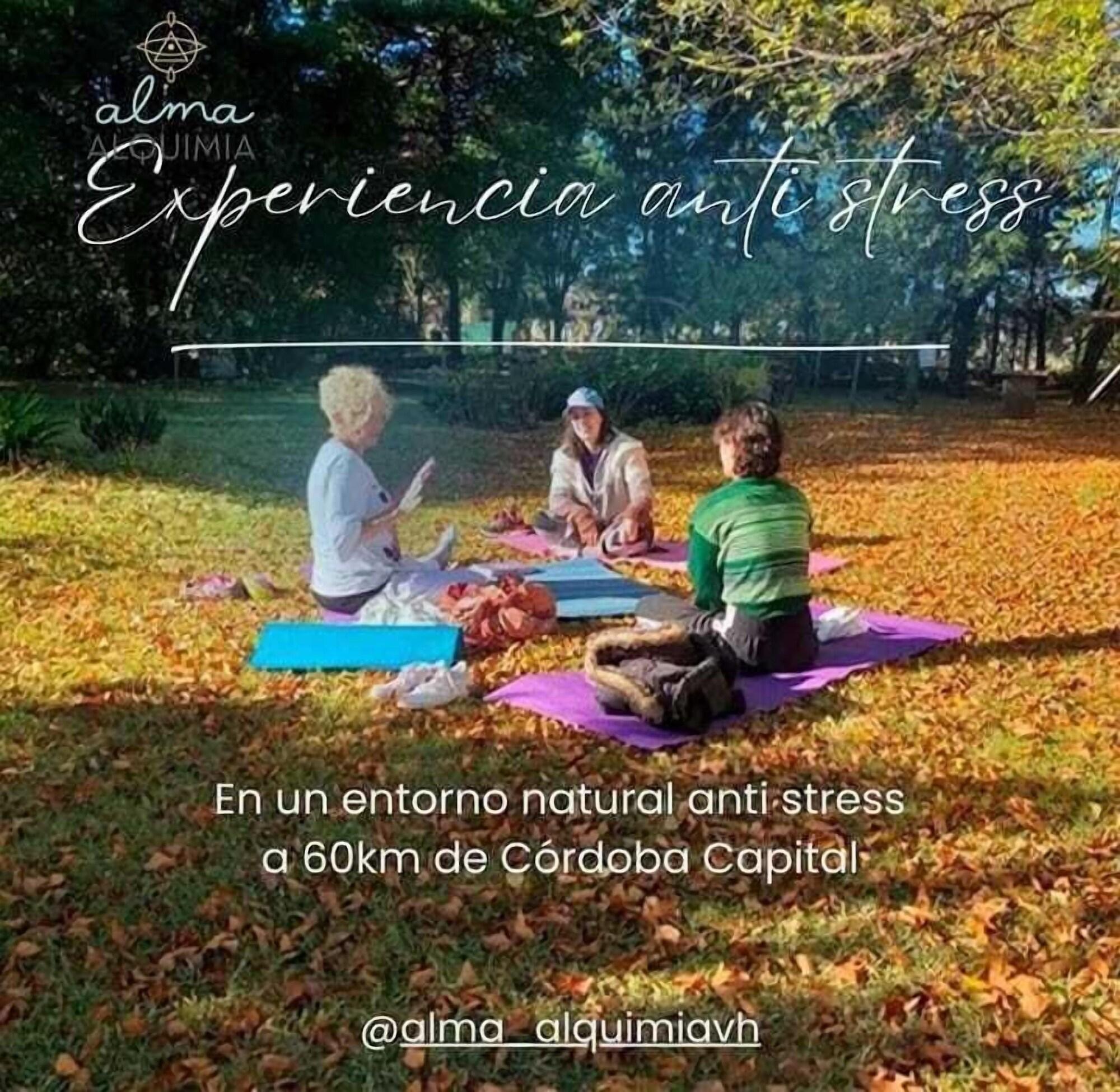 Vista Exterior almaalquimia