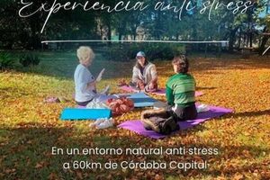 Alojamiento - almaalquimia