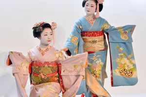 Actividad - Explora el barrio de las geishas - Tour privado a pie