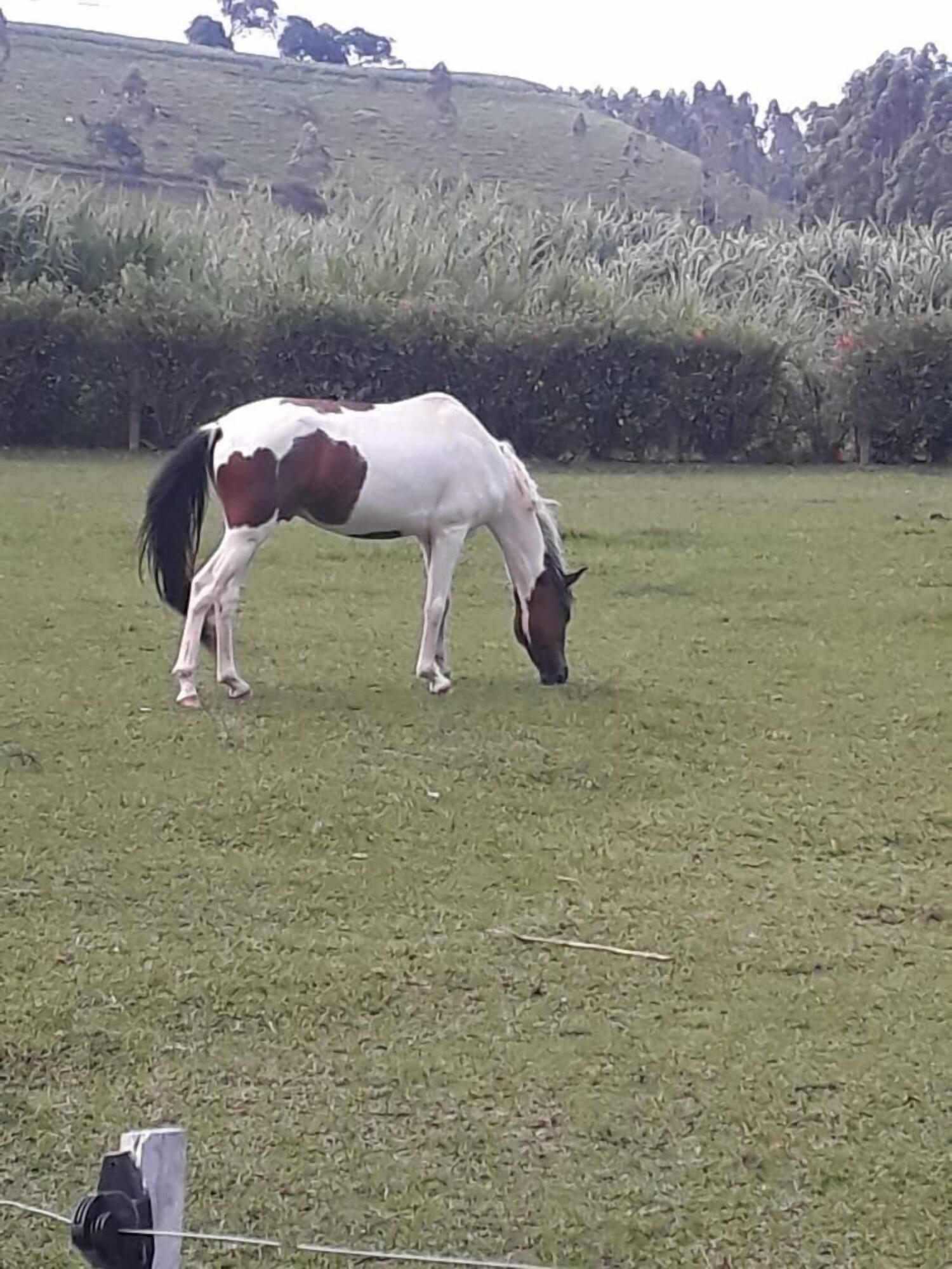 Campo de Golf Pousada Solar Azul