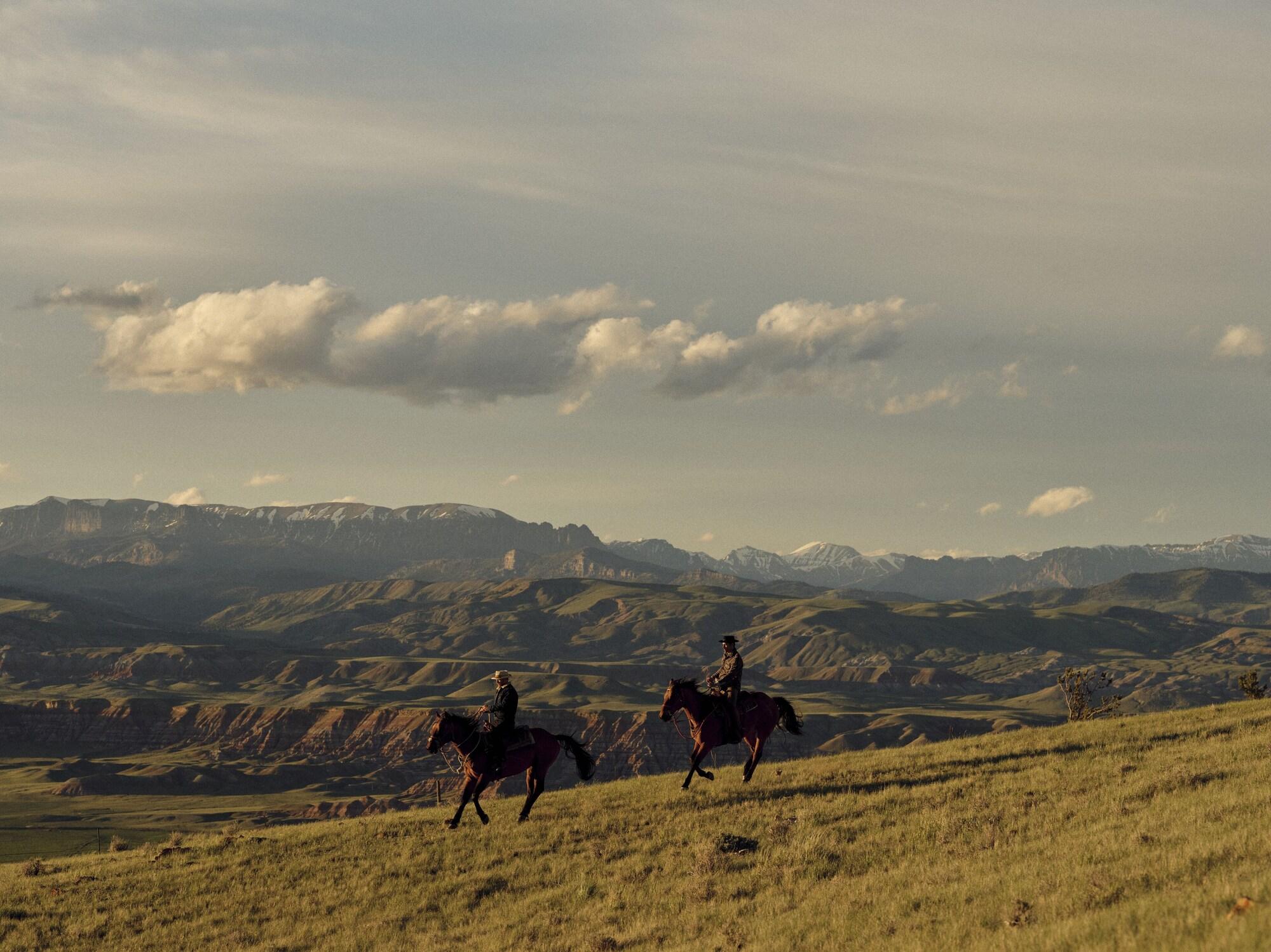 Varios 3 Spear Ranch
