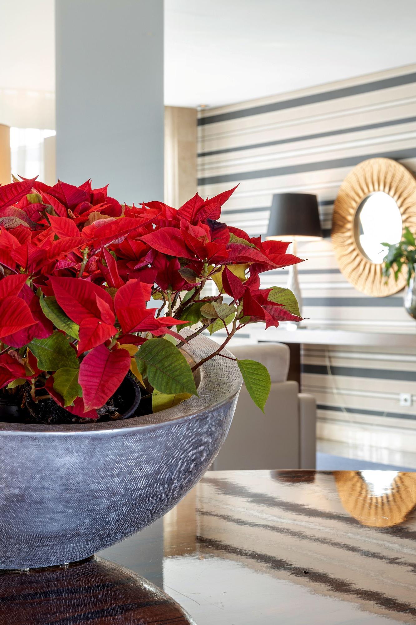 Vista Lobby Hotel Porta do Sol Conference Center & Spa