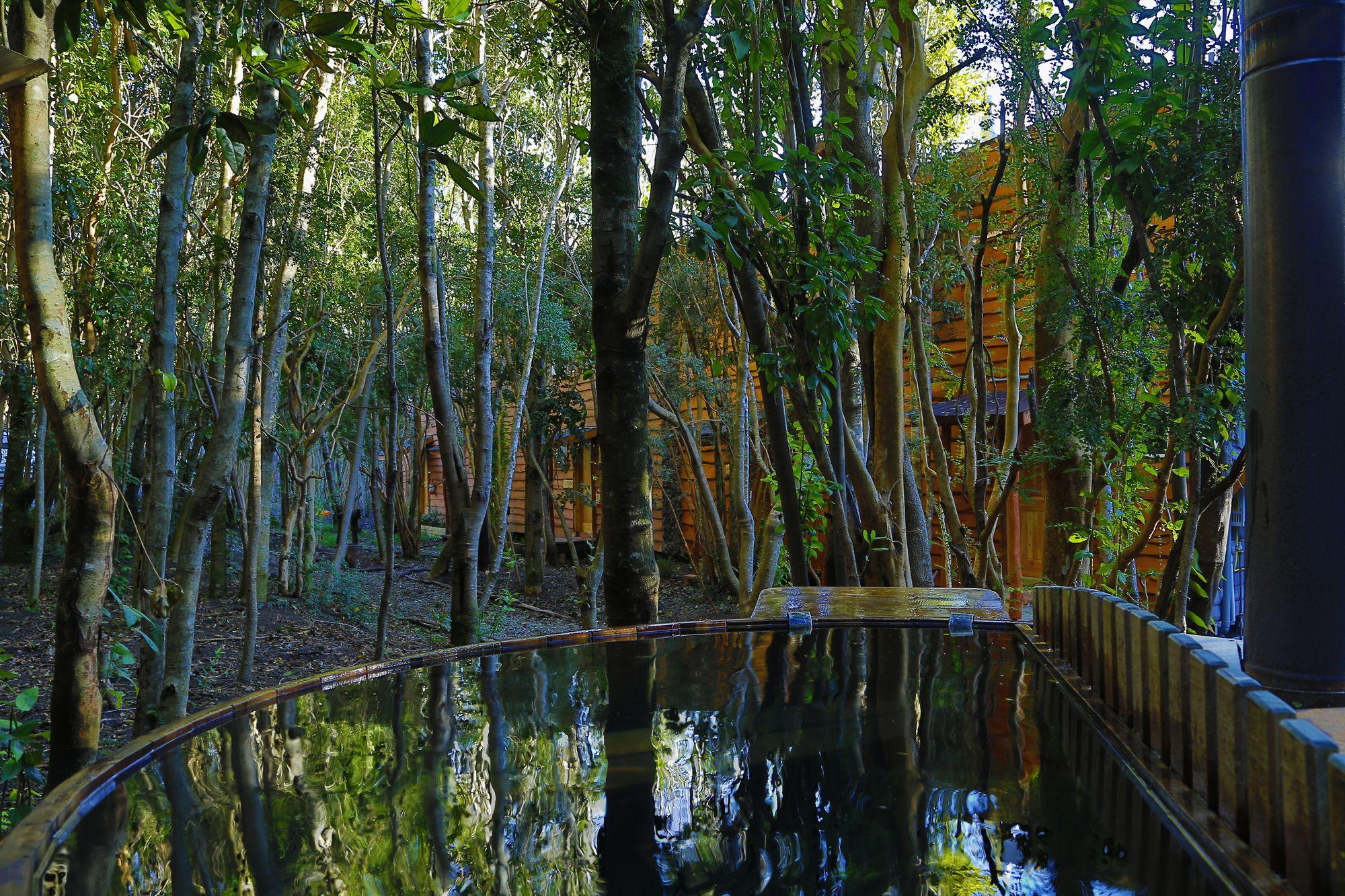 Spa Cabañas Ensenada Bosque Nativo