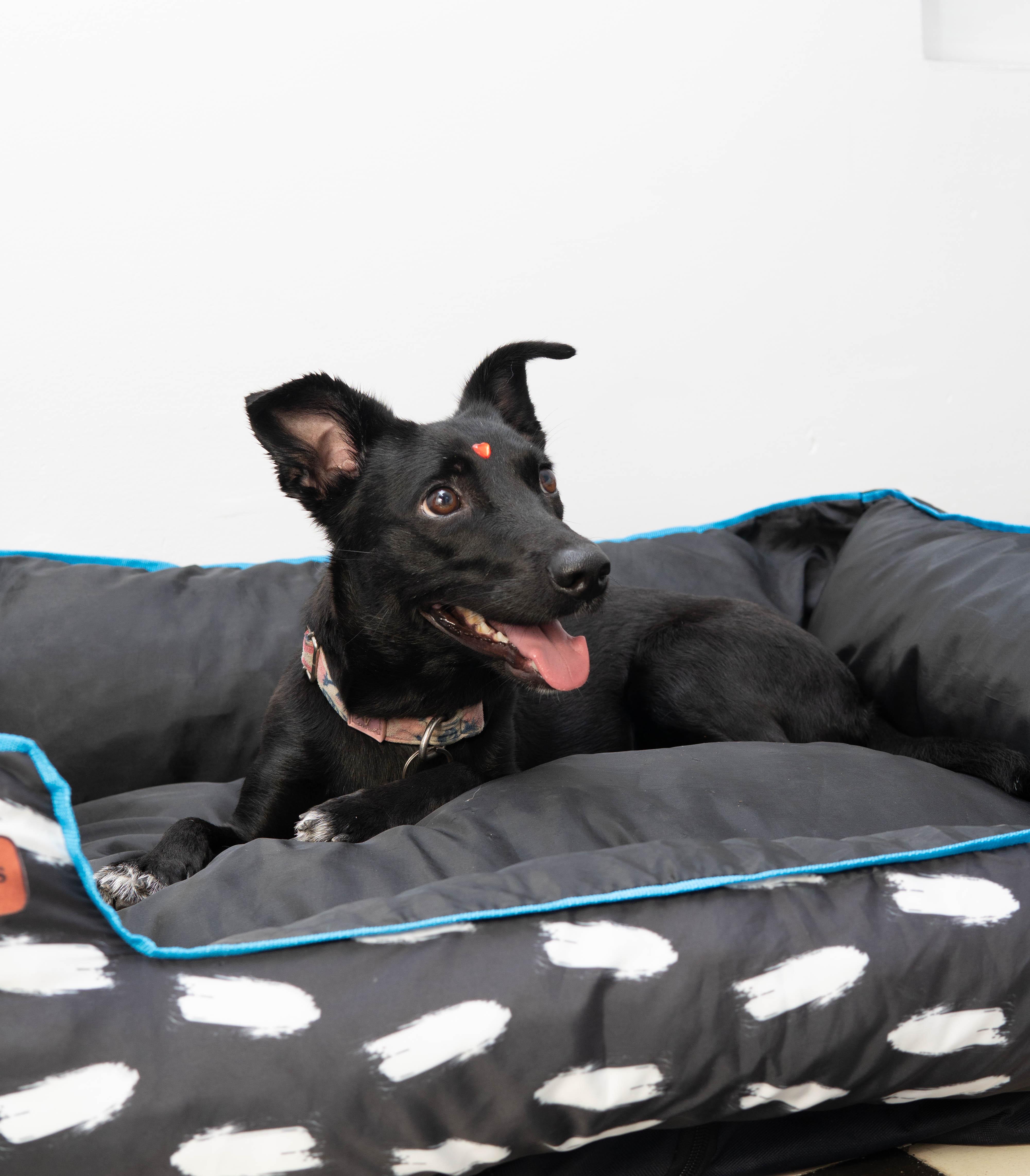 Vista Exterior La Puerta Azul