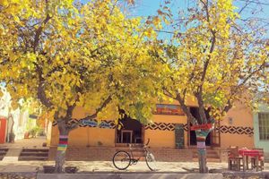 Alojamiento - Eco Hostel Valle Fertil - Adults Only