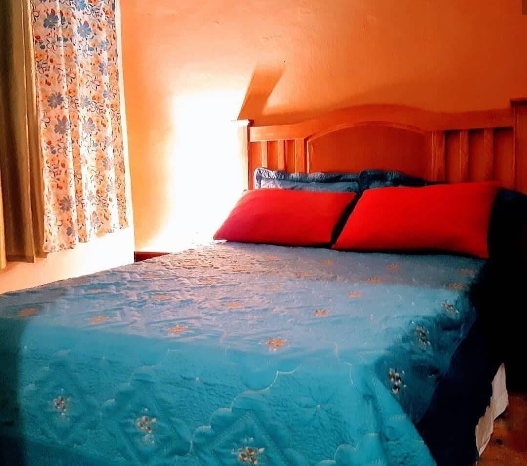 Habitación Hotel Tronco Inc
