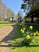 Alojamiento - Ye Olde Bell Hotel & Spa