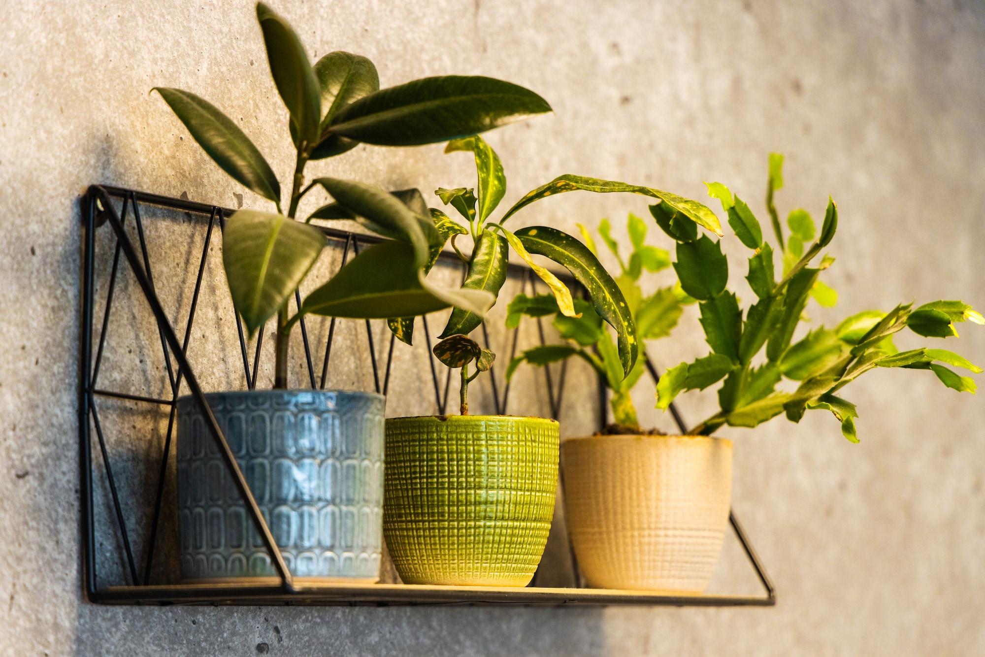 Vista Lobby ibis budget Paris Porte de Vanves