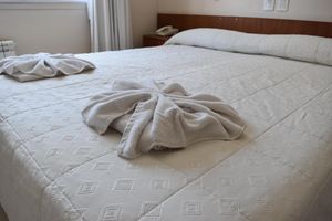 Alojamiento - Hotel Venezia