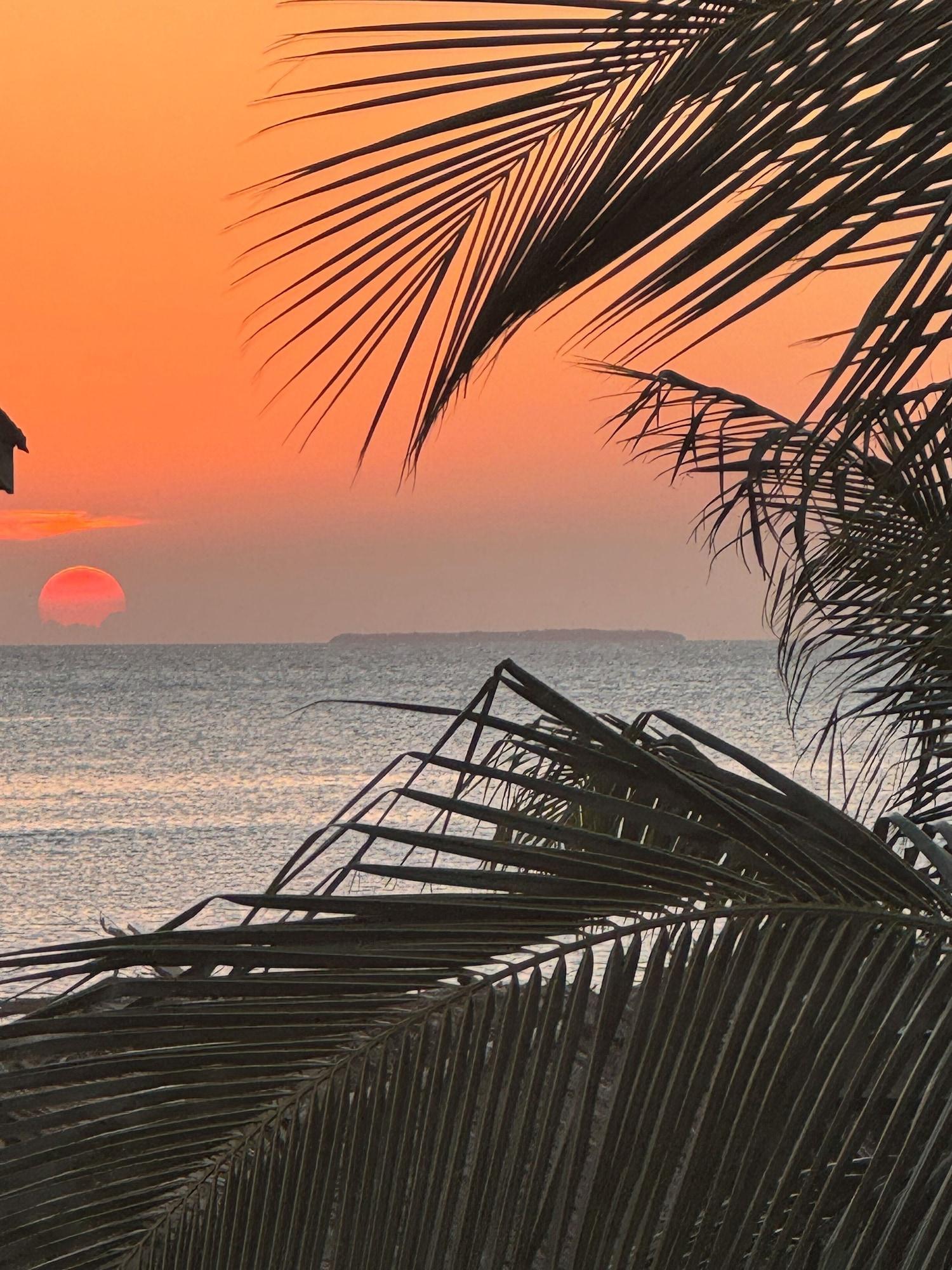 Playa Secret Beach Cabanas, Green Cabana. Sea Views just steps to water access!
