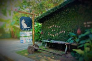 Alojamiento - Villa Recanto de Sophie