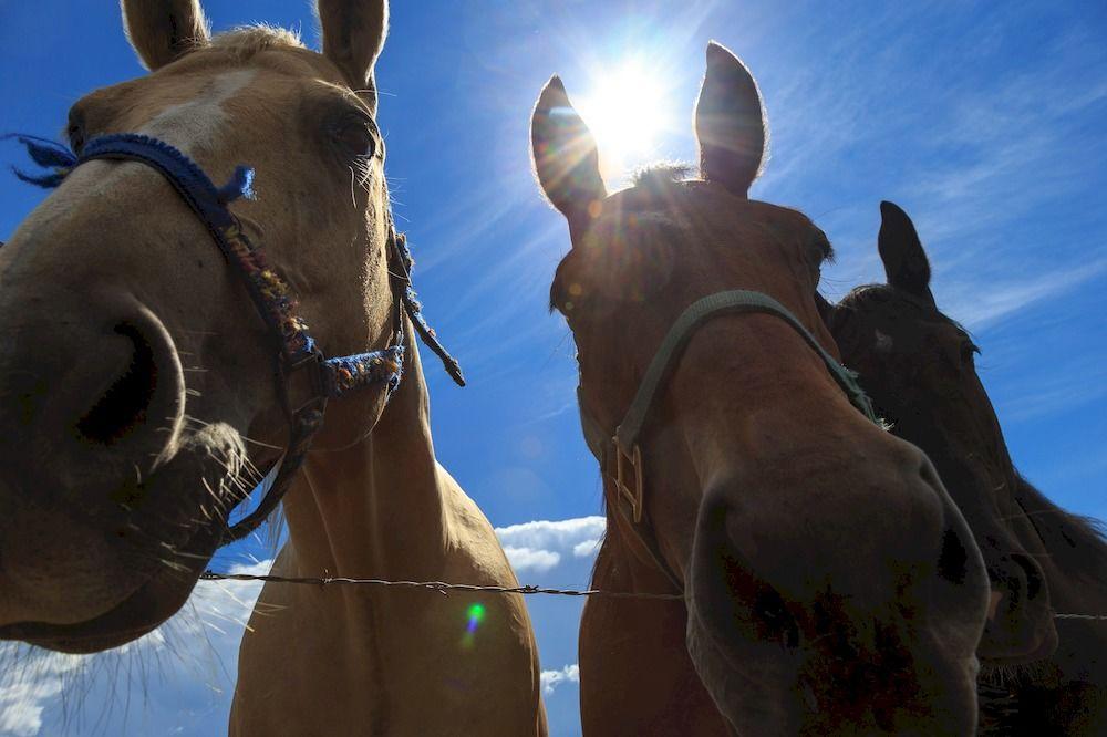 Vista Exterior Teewinot Lodge by Grand Targhee Resort