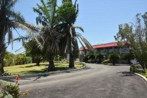 Alojamiento - Tamarind Tree Hotel