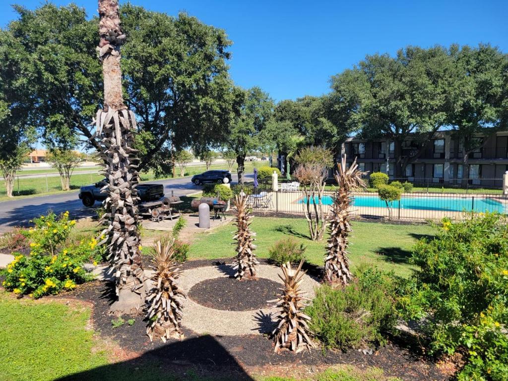 Vista Piscina Knights Inn San Antonio near AT&T Center