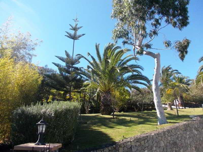 Varios La Palma Romántica