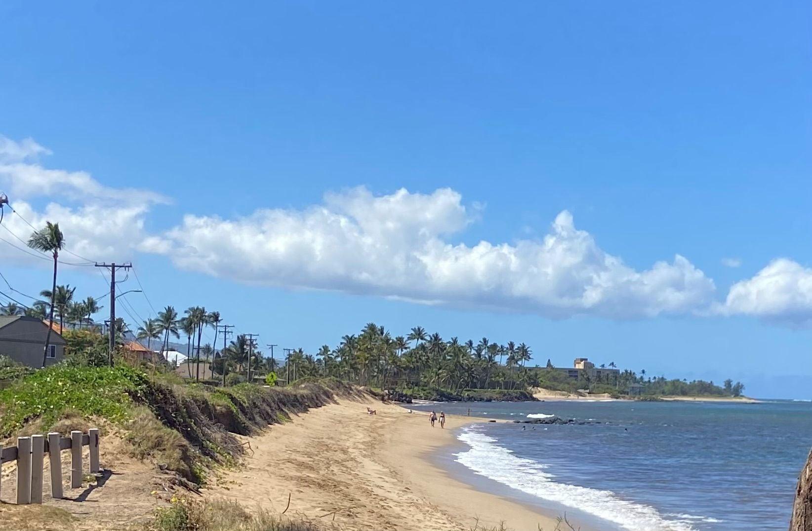 Playa Nona Lani Cottages