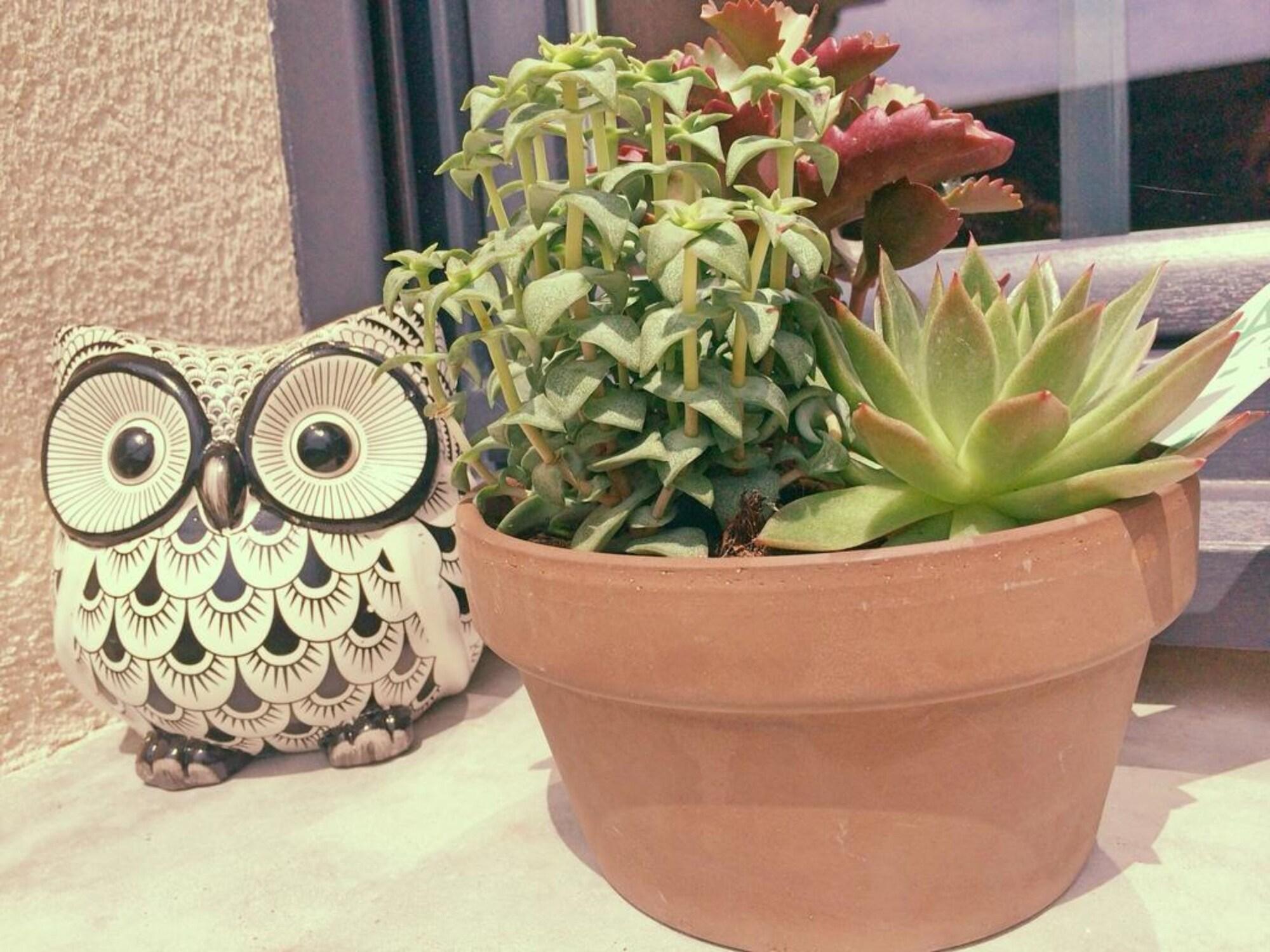 Comodidades del Alojamiento La Ferme d'Antan