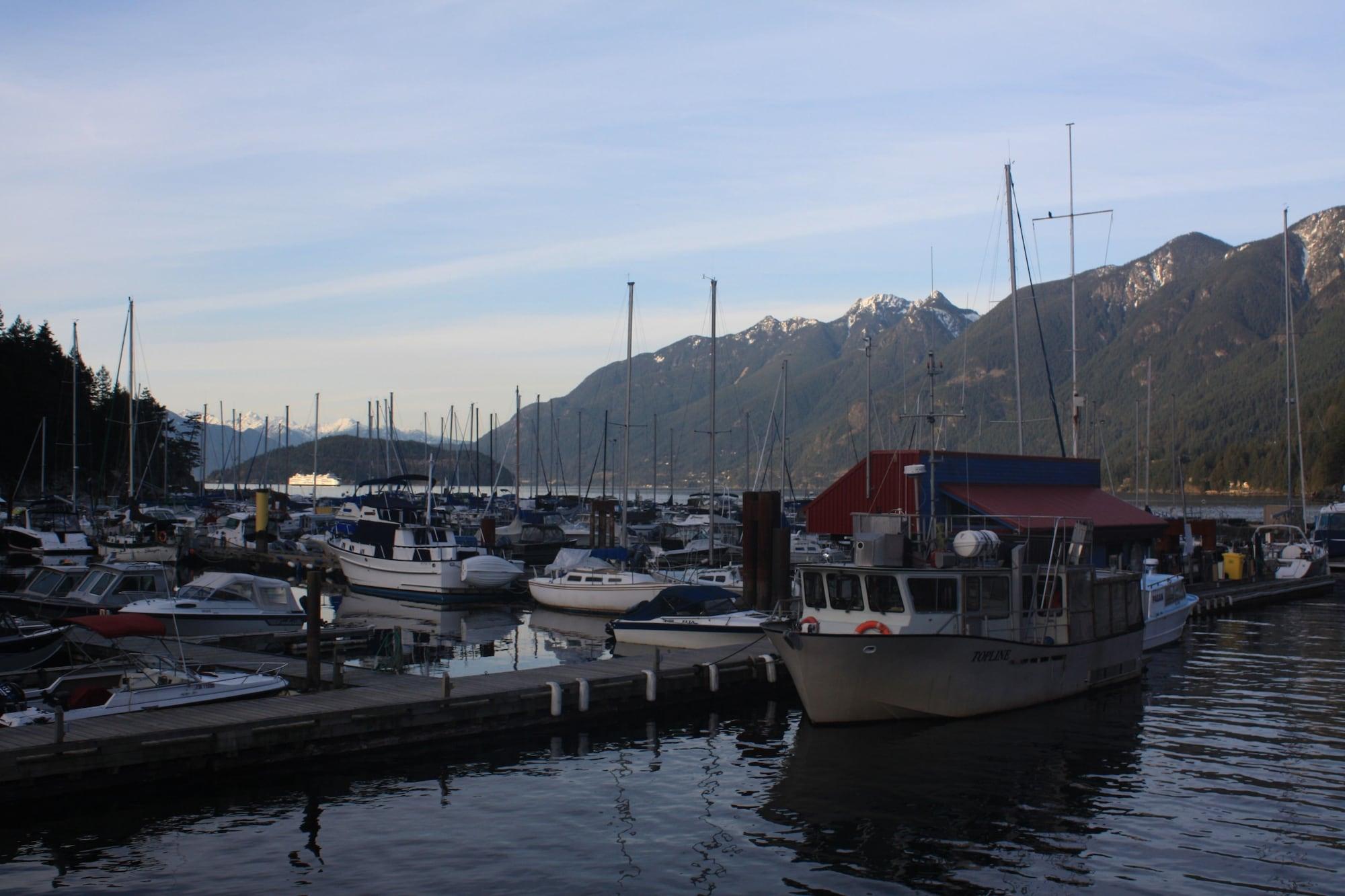 Comodidades del Alojamiento Horseshoe Bay Motel