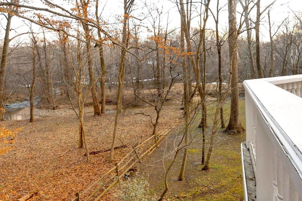 Hike to Historic Fort Marcy Park and Potomac River McLean Apartments