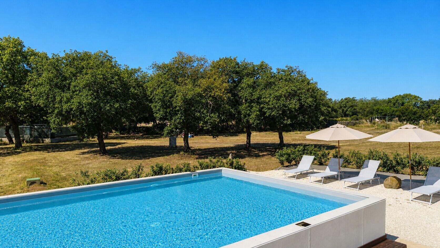 Vista Piscina Regia Hotel