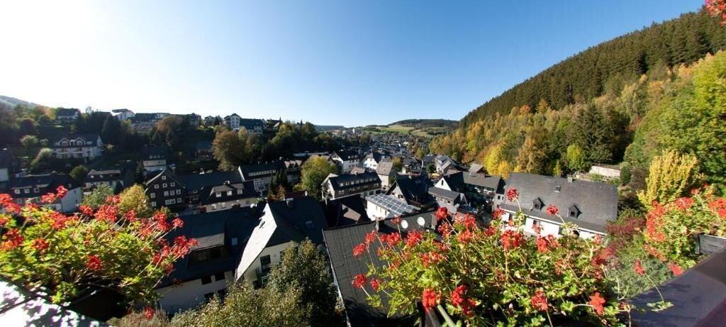 Comodidades del Alojamiento Cafe Alt Willingen