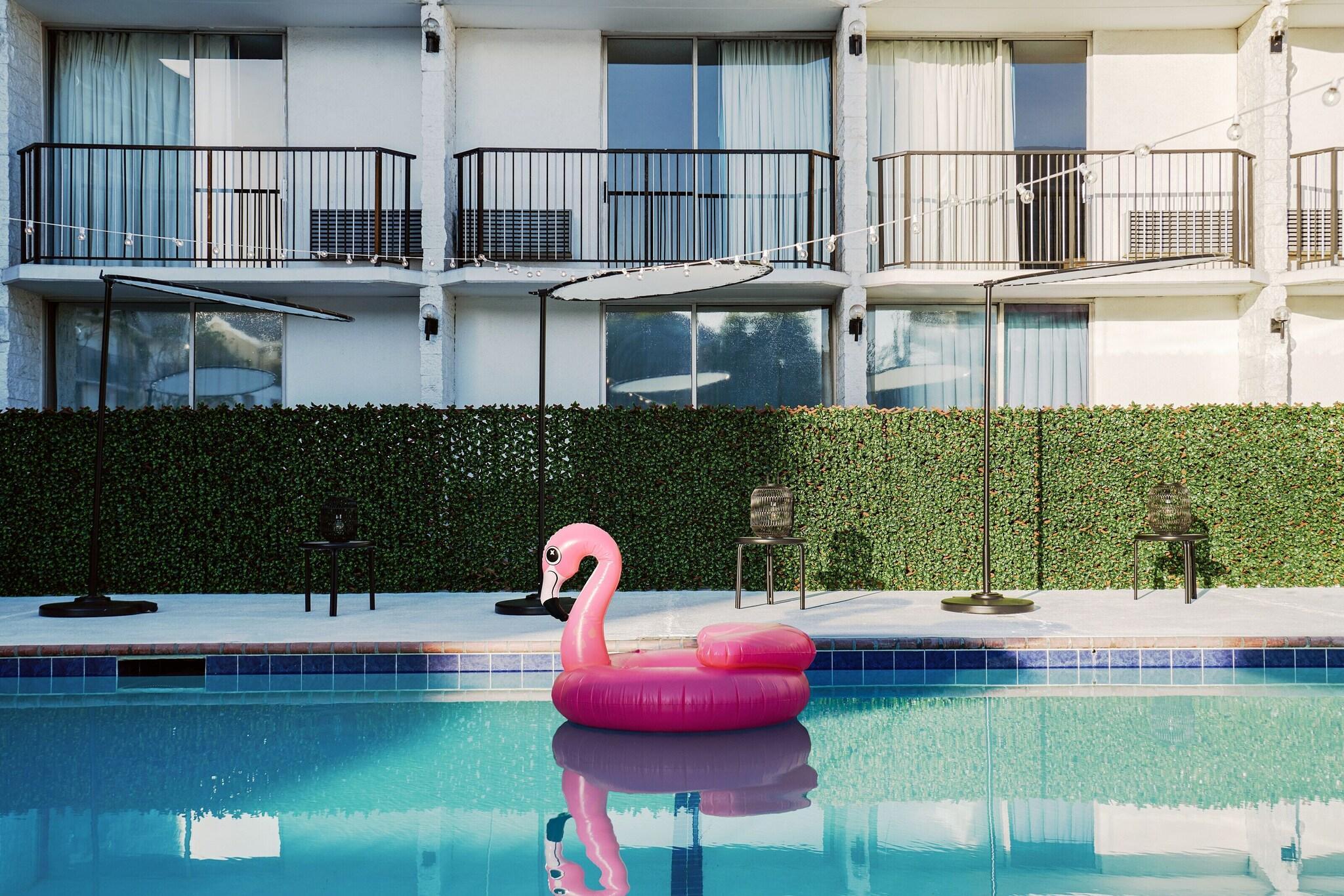 Vista Piscina Glendale Express Hotel Los Angeles