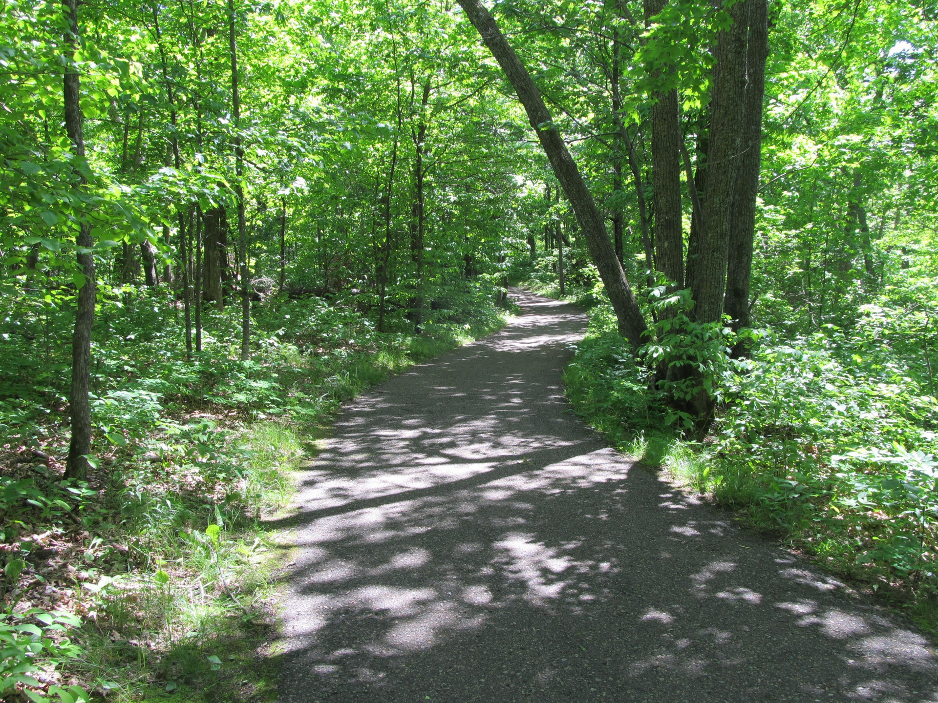 Vista Exterior Best Western Bemidji