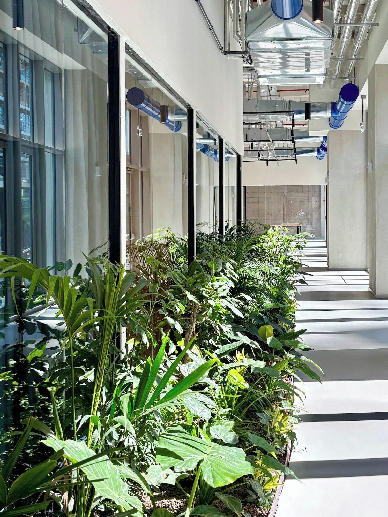 Sala de Reuniones aparto Florence Manifattura