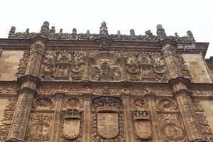 Actividad - Tour privado a pie por Salamanca