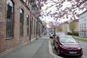 Alojamiento - Central City Hostel