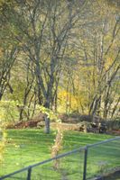 Alojamiento - Hotel Hotleu