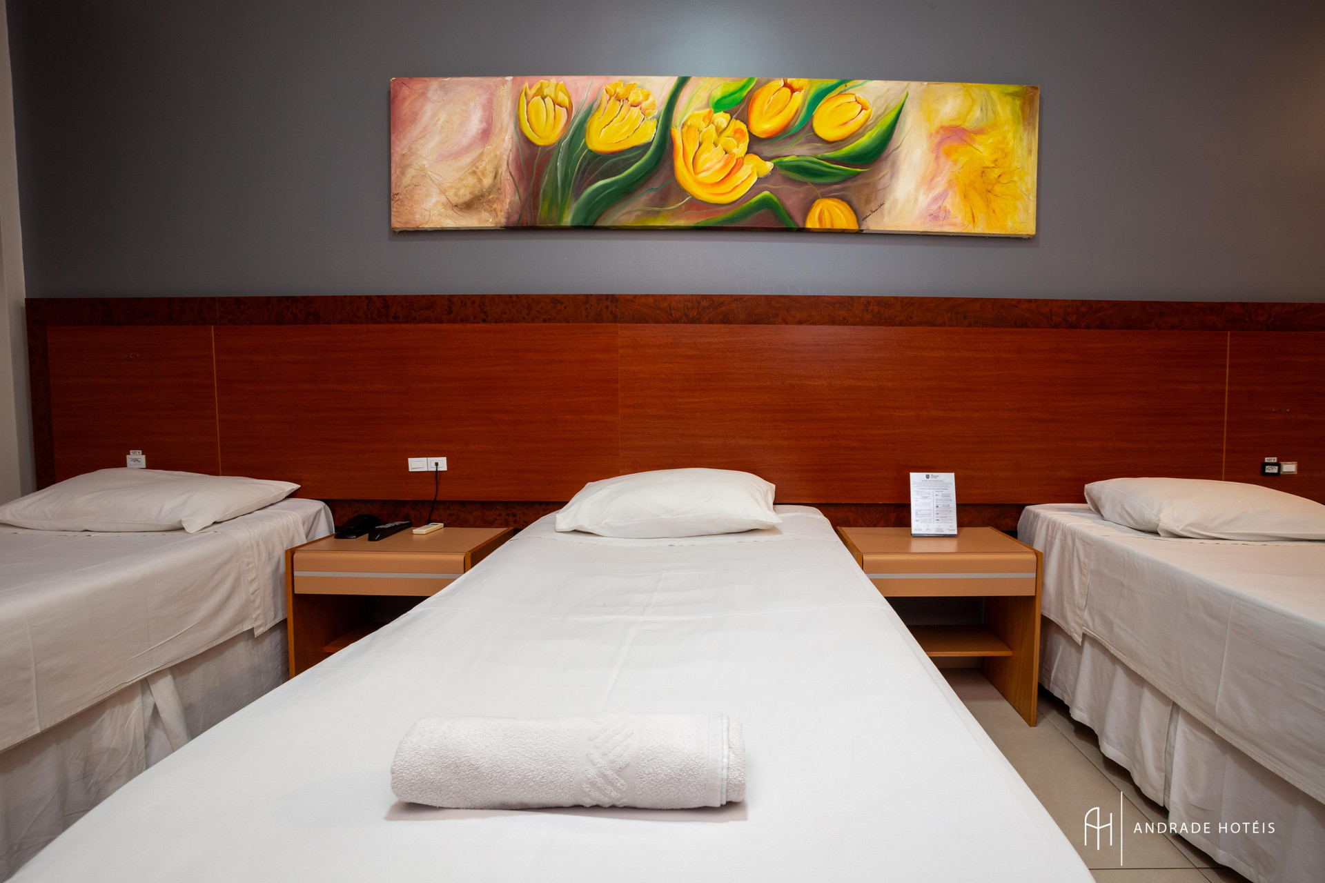 Habitación Rede Andrade Vivaldi