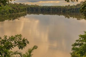 Actividad - Tour de 2 o 3 días por la Isla de los Monos y el lago Sandoval