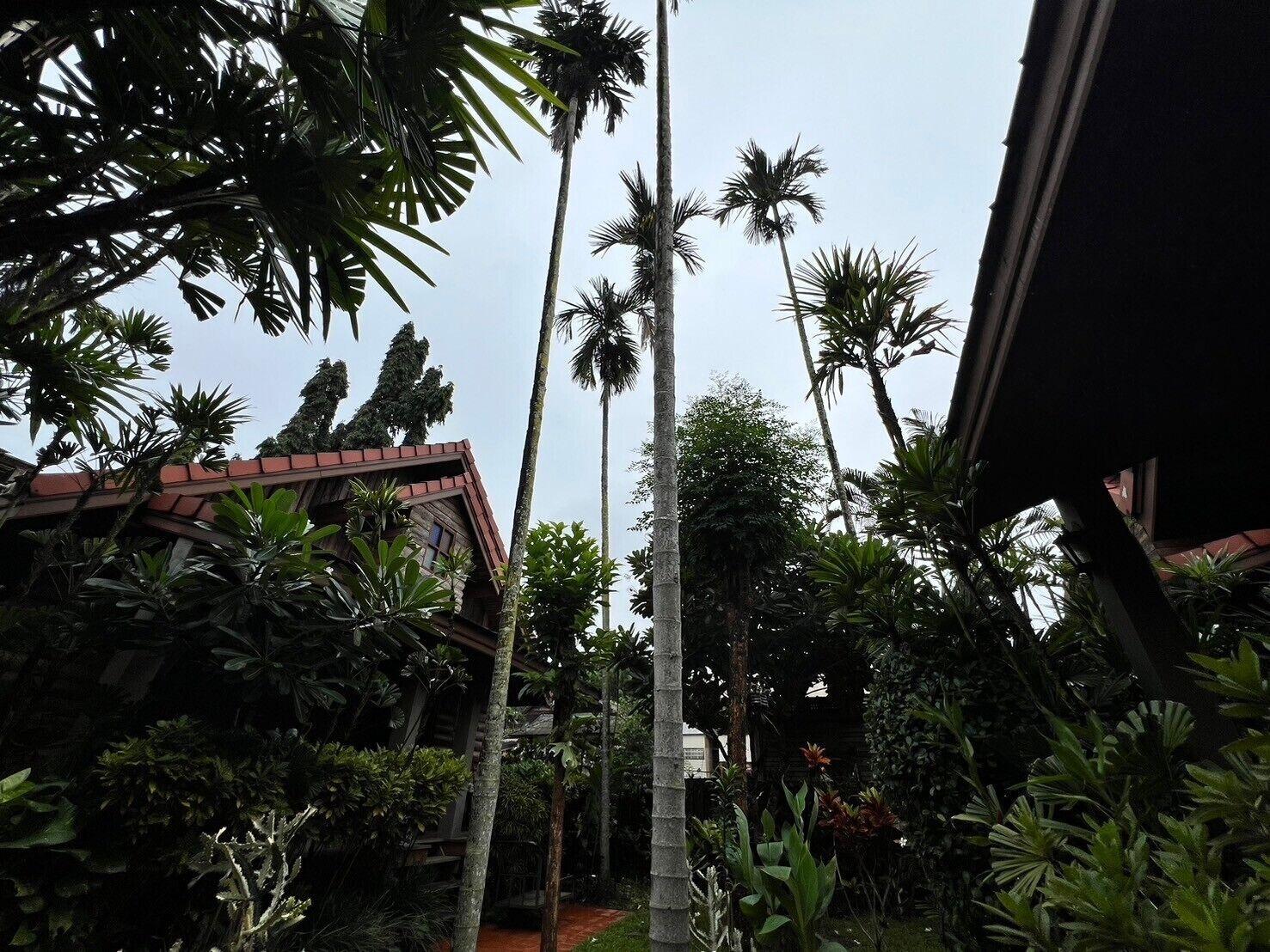 Vista Exterior Yotaka Pai