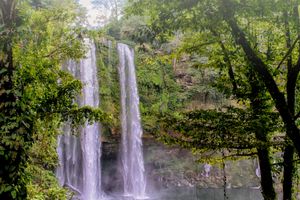 Actividad - Descubre Agua Azul, Misol-Ha & Palenque en un día