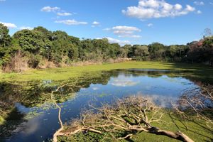 Vuelo - Vuelos a Santa Cruz de la Sierra